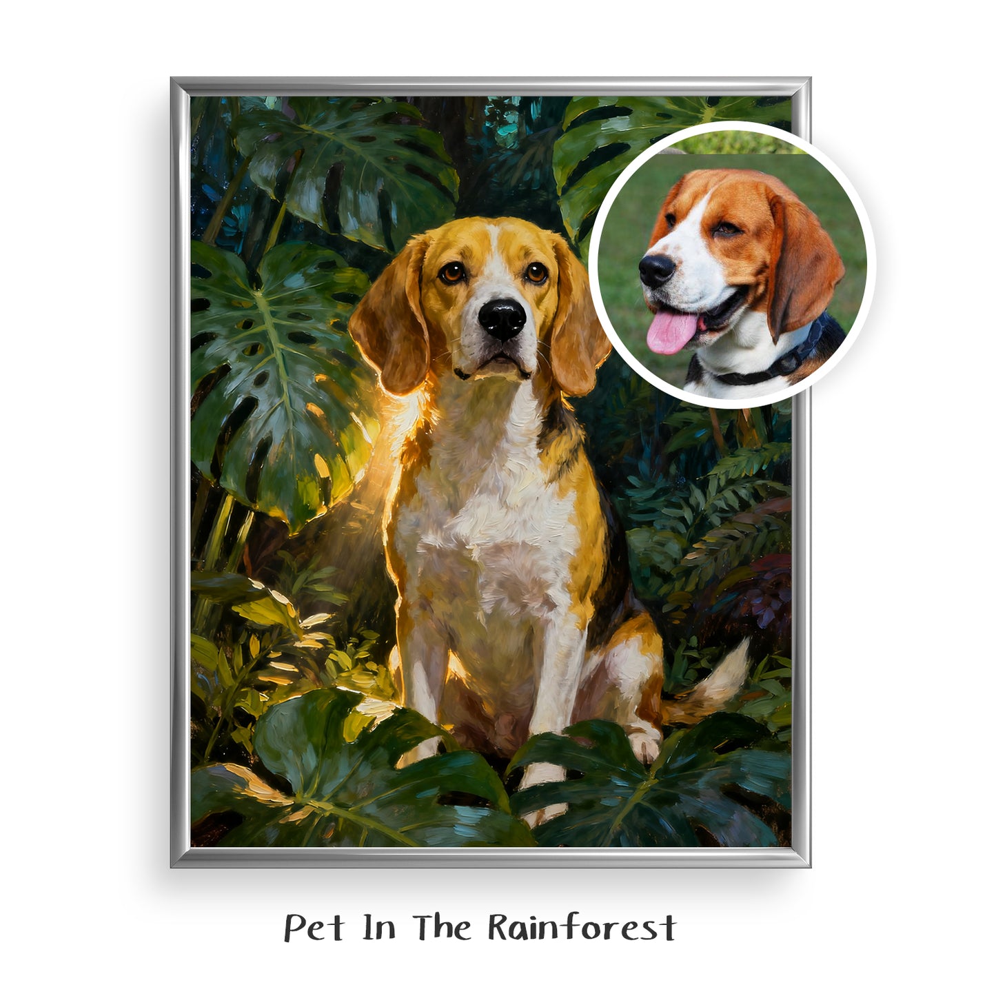 Pet In The Rainforest
