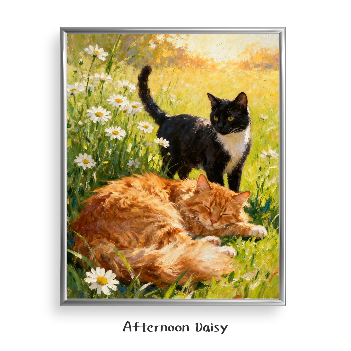 Afternoon Daisy
