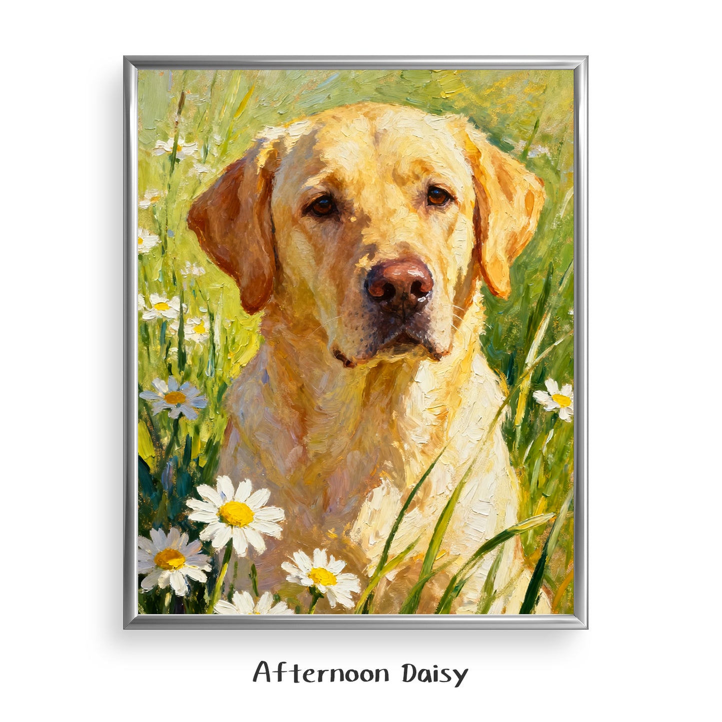 Afternoon Daisy