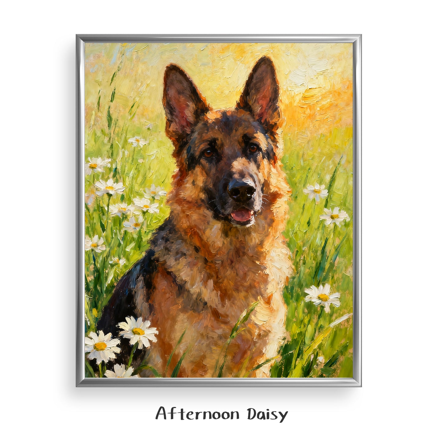 Afternoon Daisy