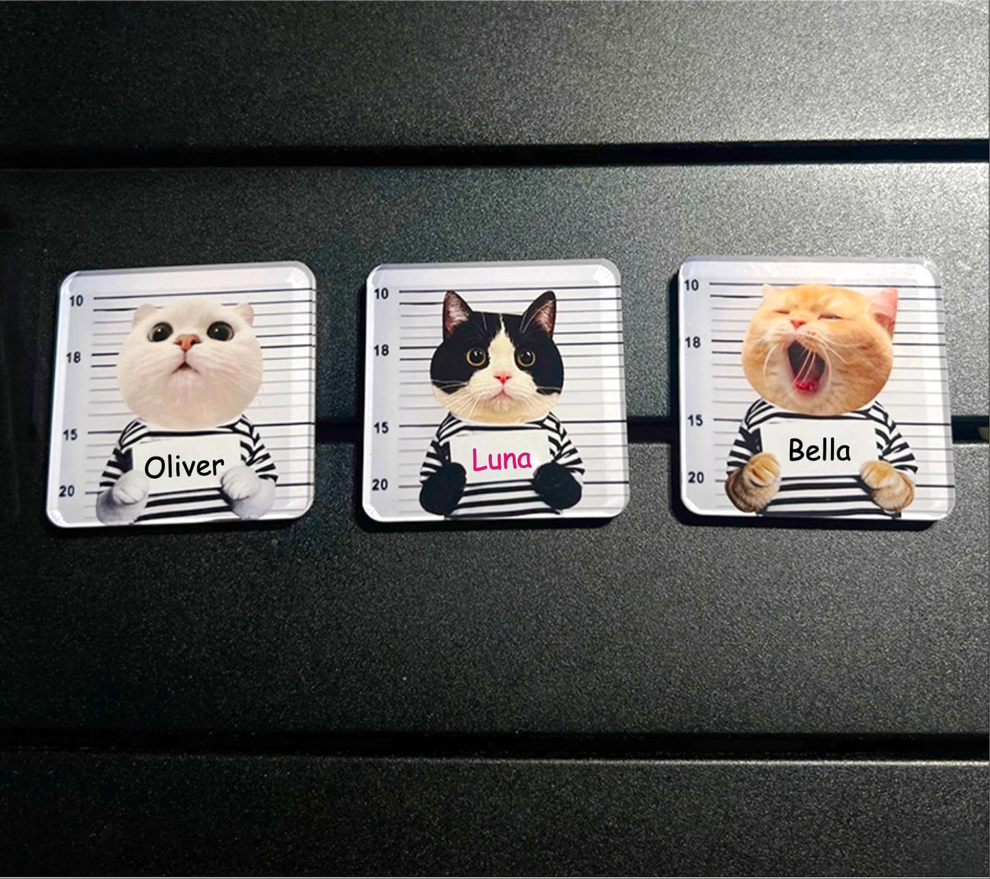 Prisoner Custom Pet Fridge Magnet