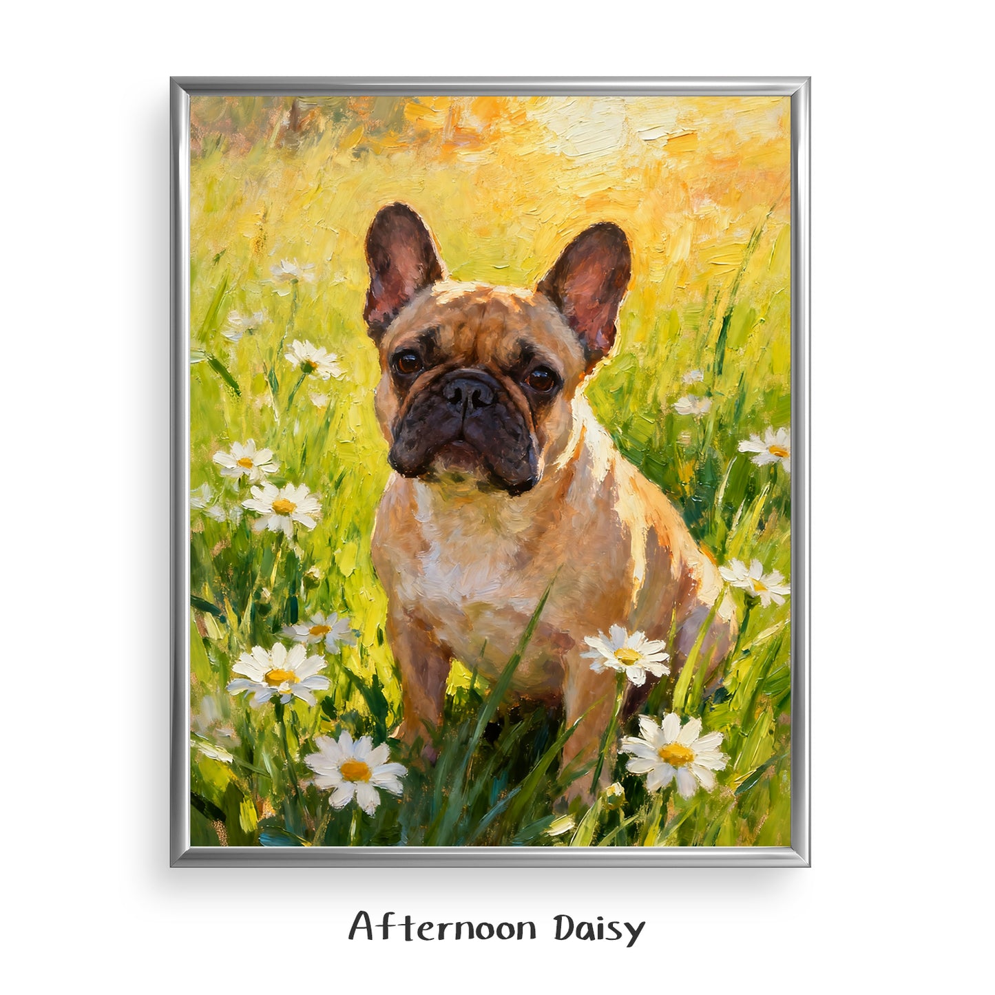 Afternoon Daisy