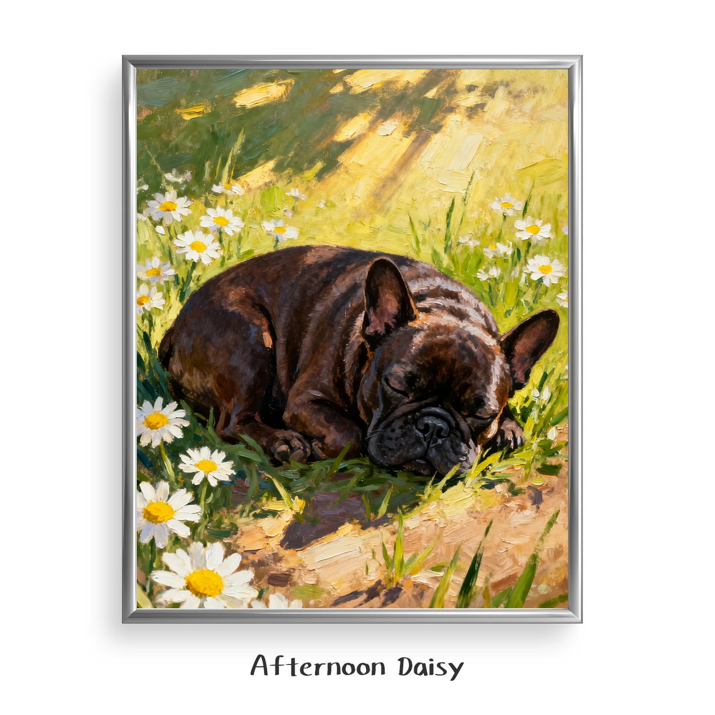 Afternoon Daisy