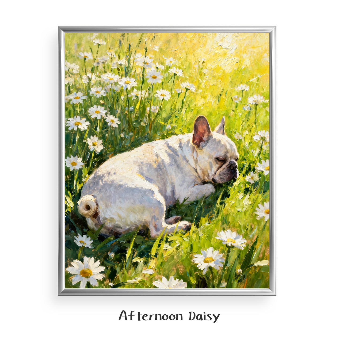 Afternoon Daisy
