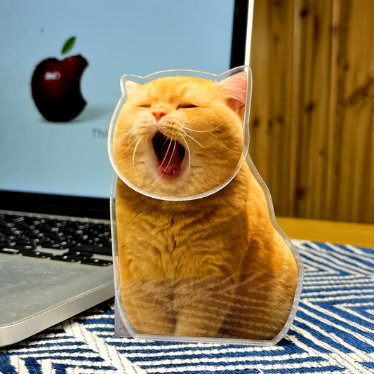 Custom Swinging Pet Figurine