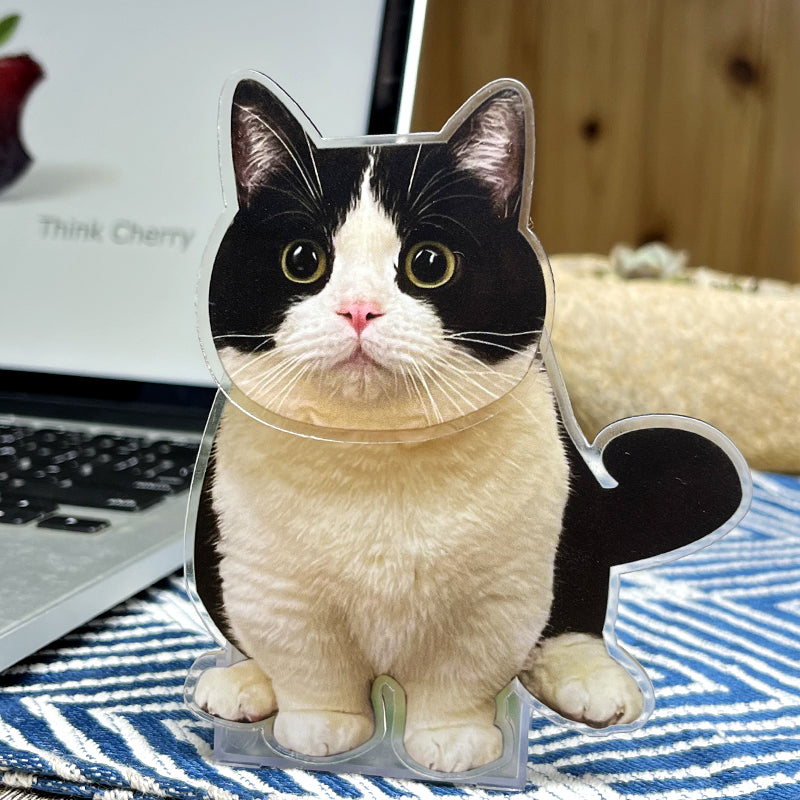 Custom Swinging Pet Figurine