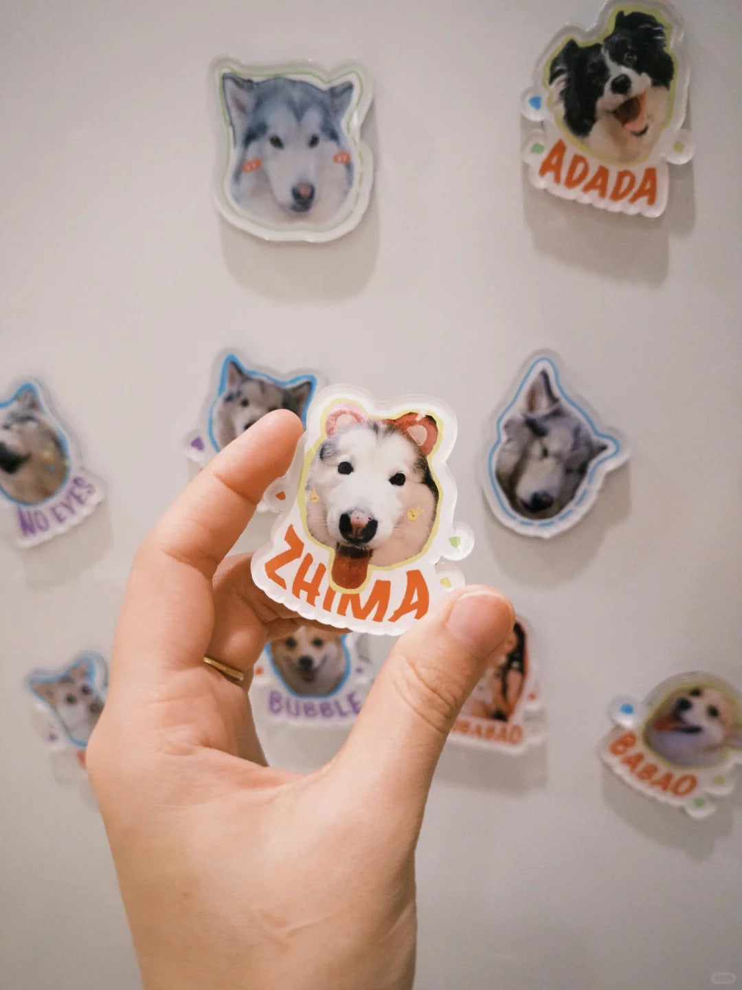 Custom Pet Fridge Magnet