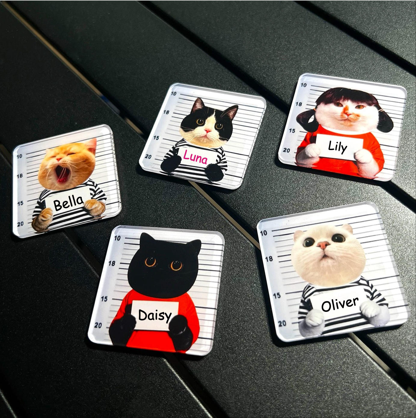 Prisoner Custom Pet Fridge Magnet