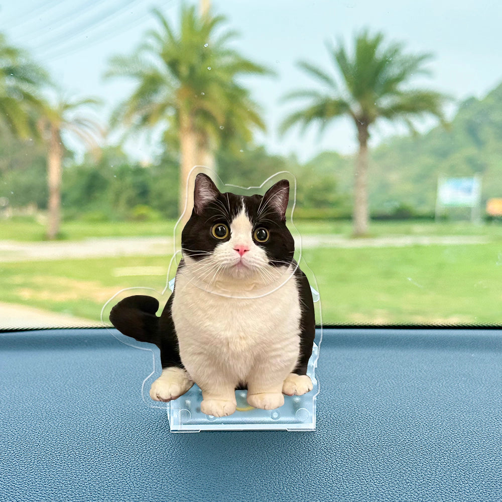 Custom Swinging Pet Figurine