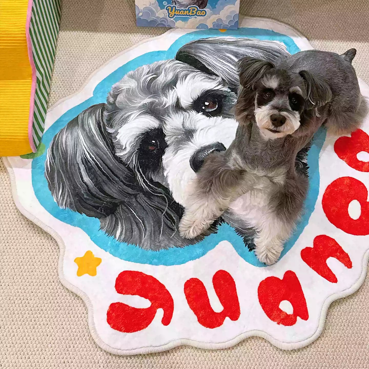 Custom Shaped Rug