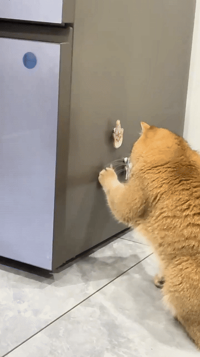 Custom Pet Fridge Magnet