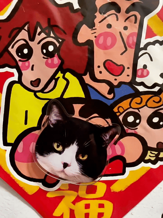 Custom Pet Fridge Magnet