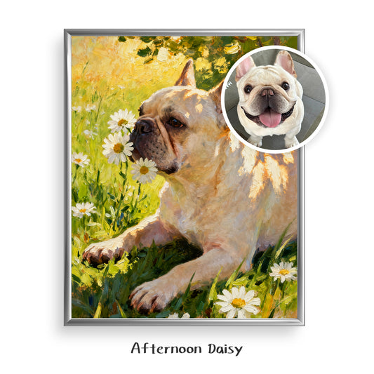 Afternoon Daisy