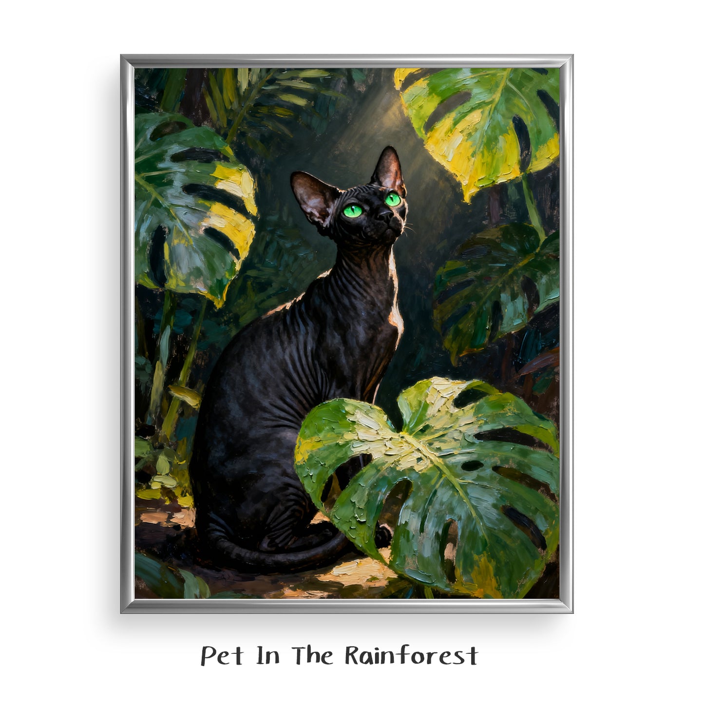 Pet In The Rainforest