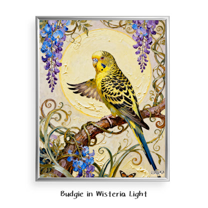 Budgie in Wisteria Light