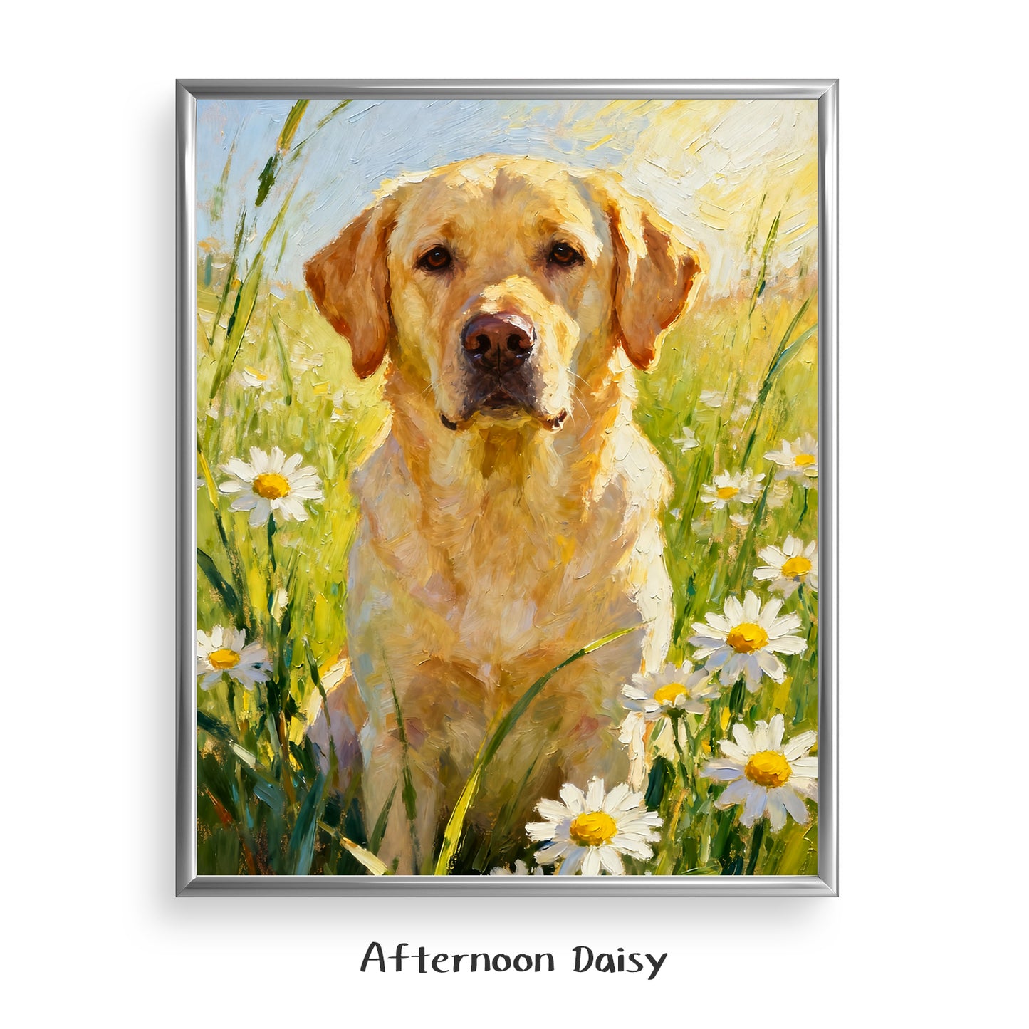 Afternoon Daisy