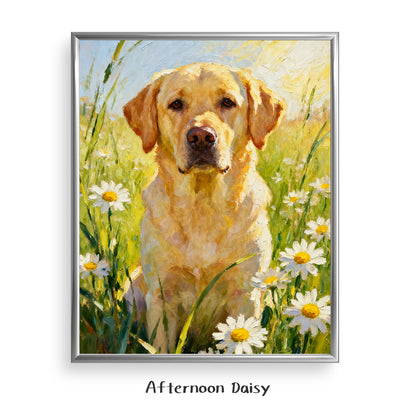 Afternoon Daisy