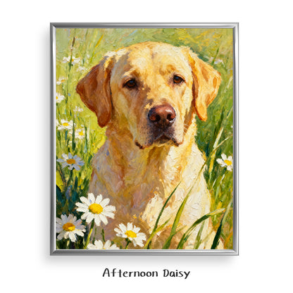 Afternoon Daisy