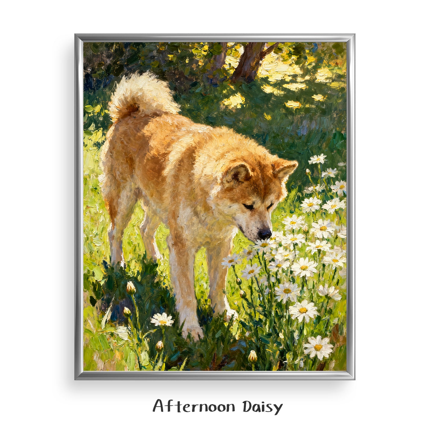 Afternoon Daisy