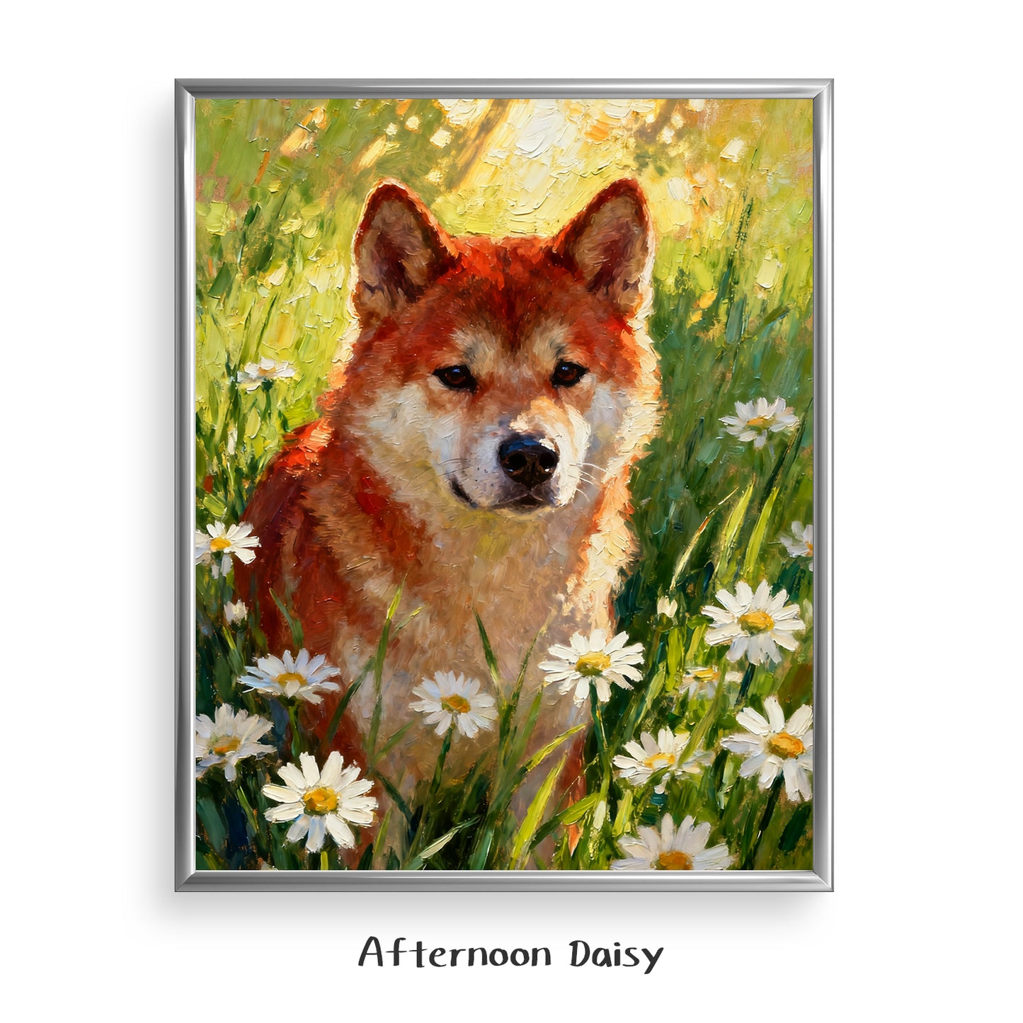 Afternoon Daisy