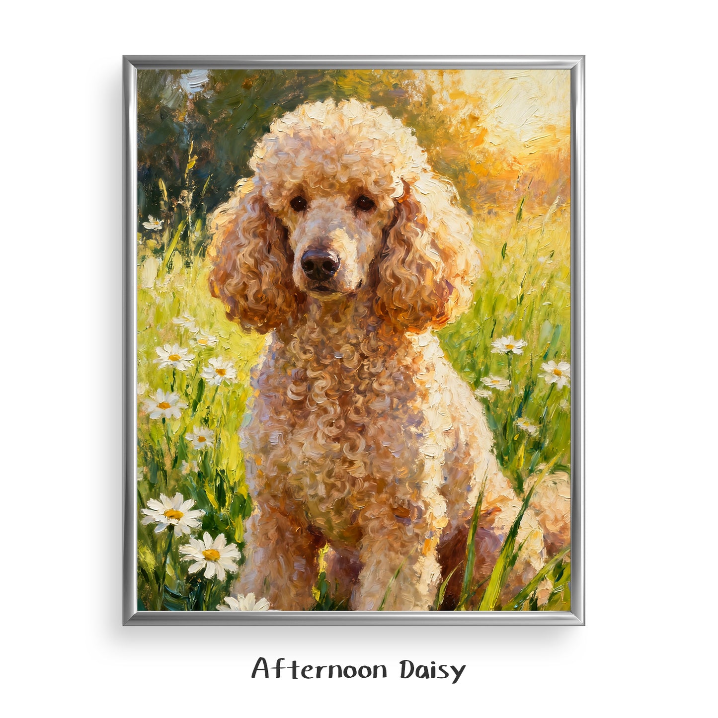 Afternoon Daisy
