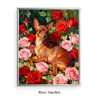 Rose Garden