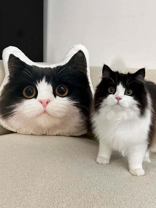 Custom Pillows