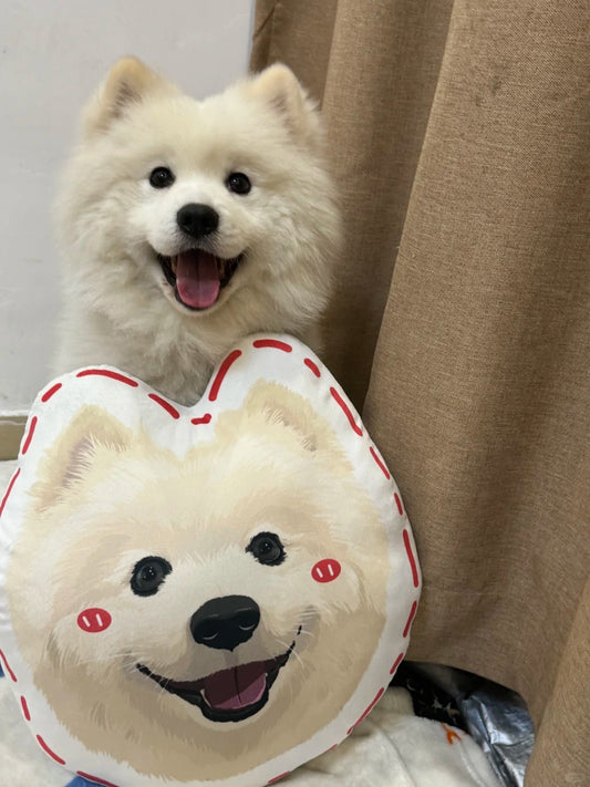 Custom Pillows