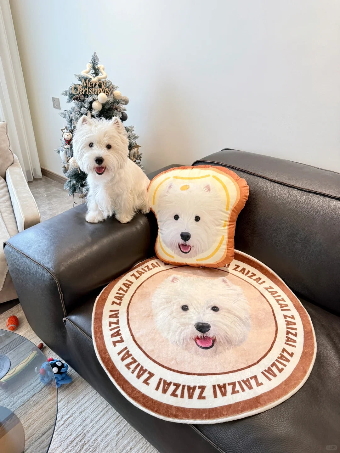 Custom Pillows
