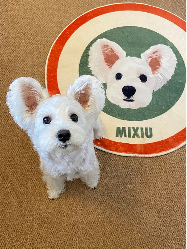 Custom Round Rug