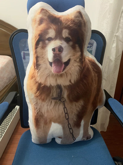 Custom Pillows