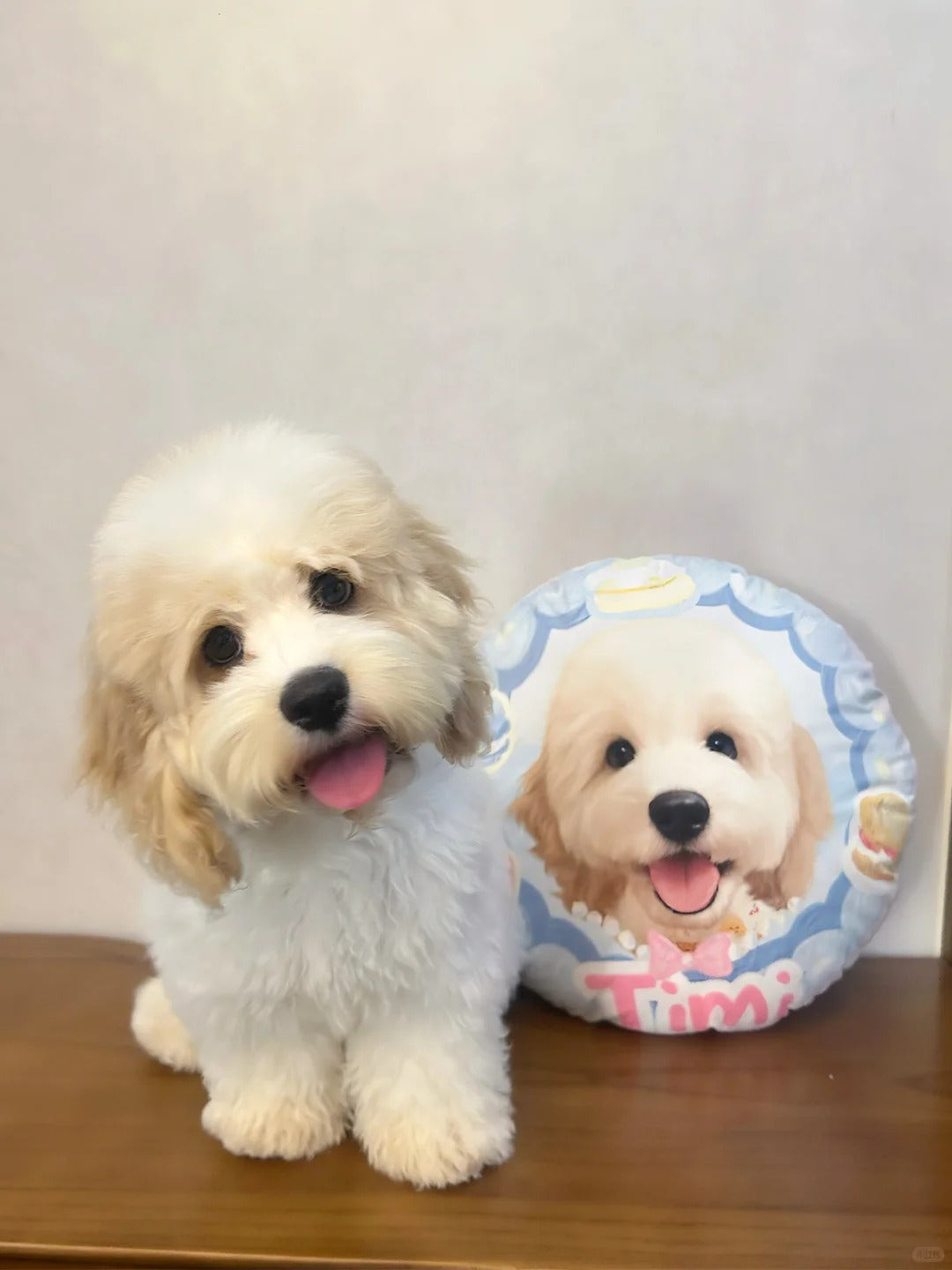 Custom Pillows