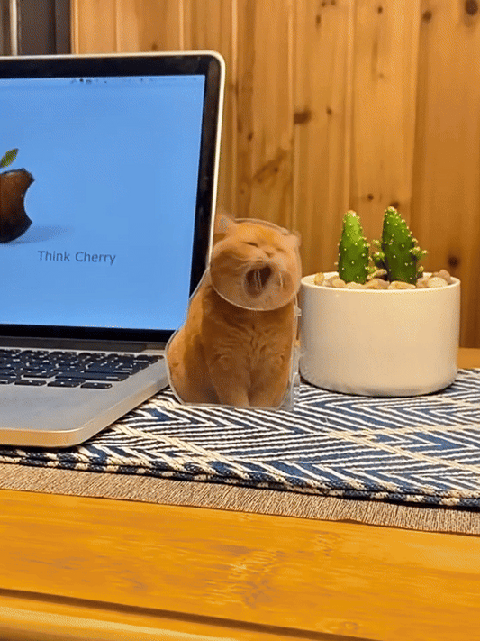 Custom Swinging Pet Figurine